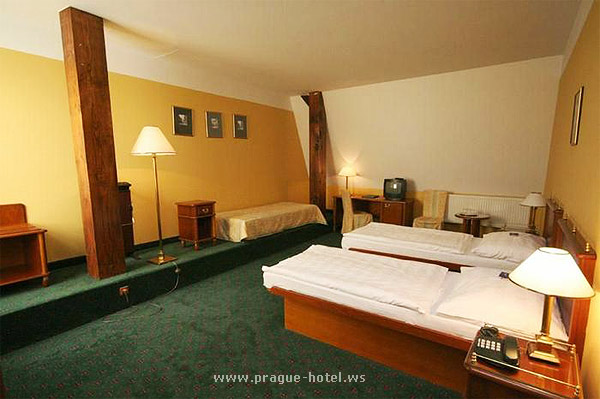 Prag Hotel William
