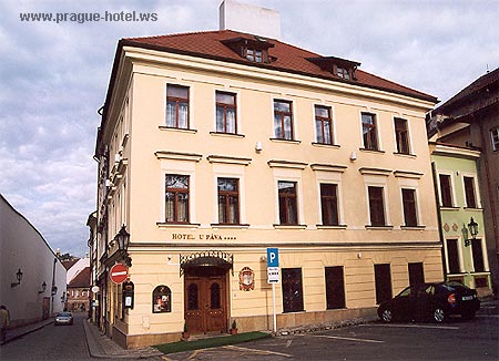 Pictures and photos of hotel U Pava in Prague