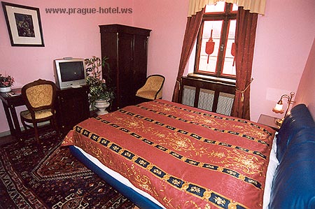 Prag Hotel U Pava