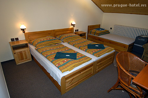 Prag Pension Platan